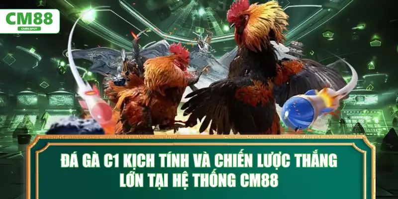 Đá gà C1 kịch tính và chiến lược thắng lớn tại CM88